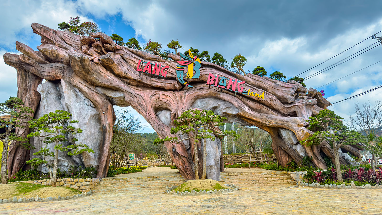CỔNG CÂY HỒI SINH 